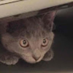 Meet your Posher, Edward